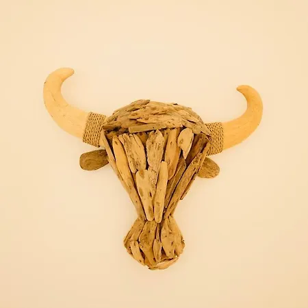 Clim Parc Expo Arena A Pied