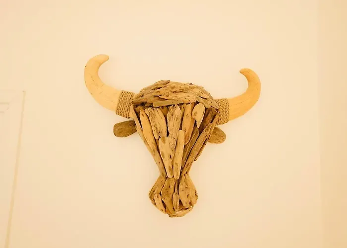 Clim Parc Expo Arena A Pied